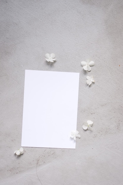 Foto scheda vuota e bouquet di ortensie di fiori bianchi su sfondo grigio