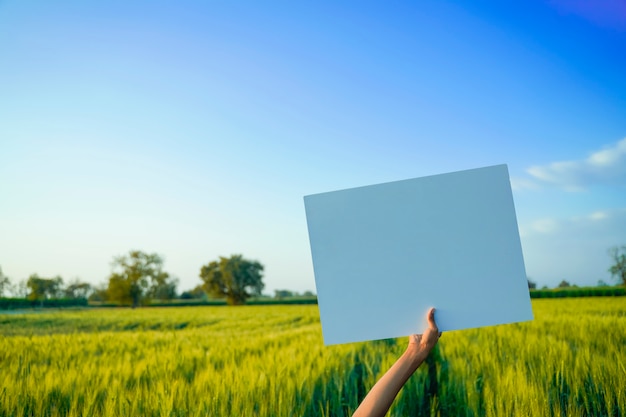 Empty cardboard in farmer hand, agricultural background