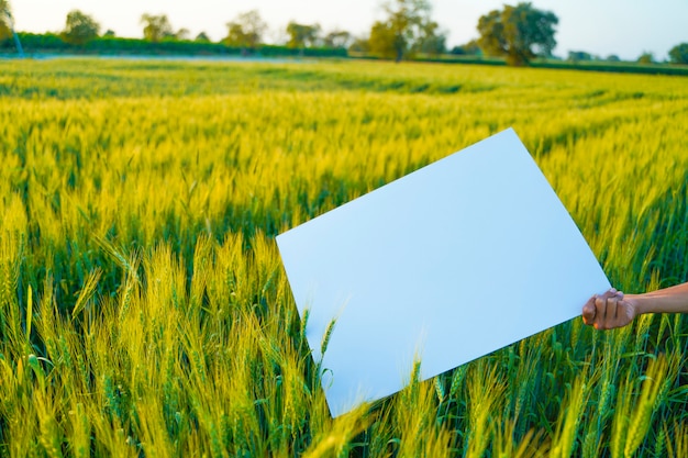 Empty cardboard in farmer hand, agricultural background