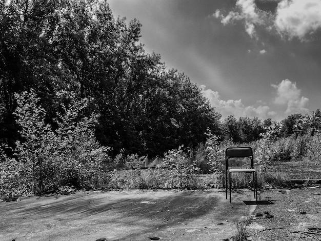 Foto una sedia vuota contro gli alberi nel paesaggio