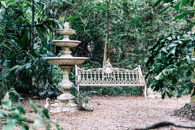 empty chair and bench decoration in the garden