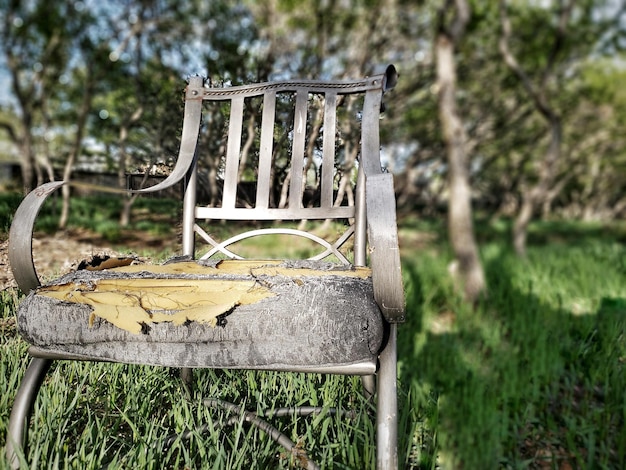 Foto una sedia vuota sul campo contro gli alberi