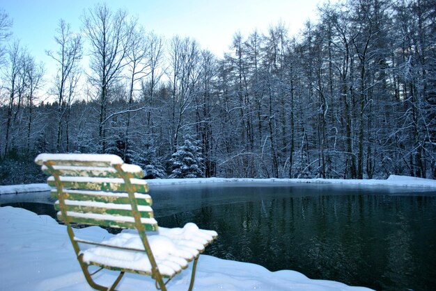 Photo empty chair with snow at lakeshore against trees