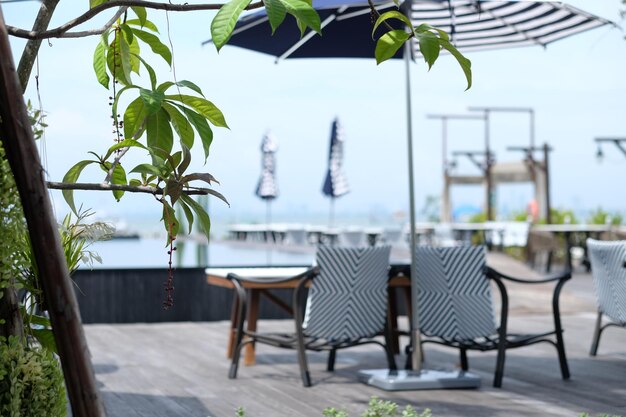 Empty chairs and table against trees