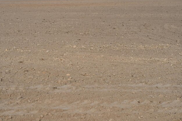 Empty clean agriculture field background and texture for design copy space eco farming and organic agriculture concept There are traces of wheeled harvesting equipment on the sand