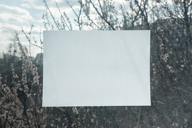 Photo empty clean white sheet on glass on of flowering trees.