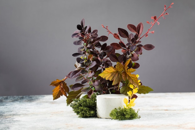 Empty concrete podium for product presentation with red leaves and moss autumn composition copy space