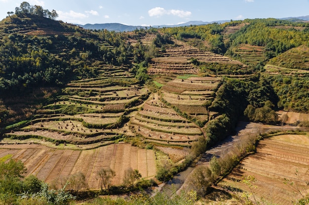 Empty corn fields after harvest, China