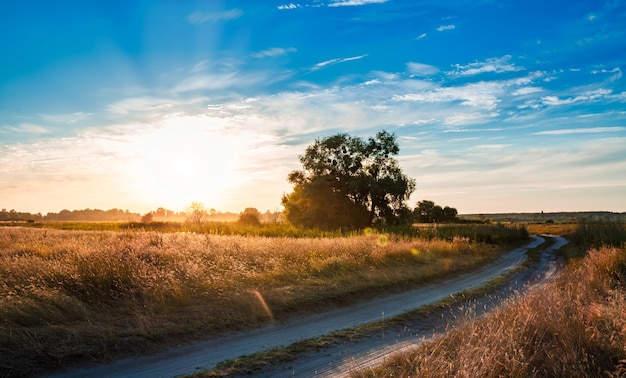 Empty countryside road through fields with dry grass and green trees. Beautiful lanscape of summer evening, rural scenery, bright sunset on blue sky with clouds. Concept of nature beauty.