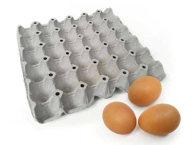 Empty egg and egg paper panel used from top view and isolated on white background