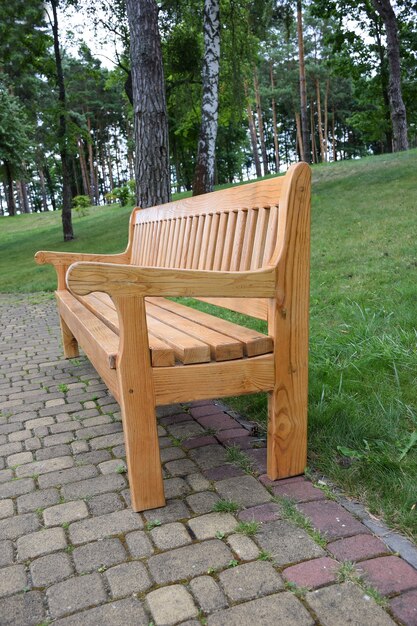 An empty figured wooden bench in profile stands in a summer park on a stone paving slab