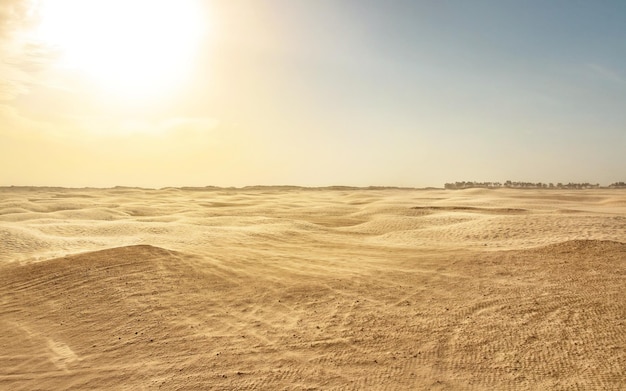 Empty flat sahara desert, wind forming sand dust, with backlight sun in background. Douz, Tunisia