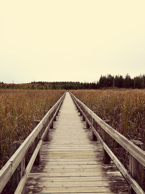 Photo empty footbridge amidst agricultural field