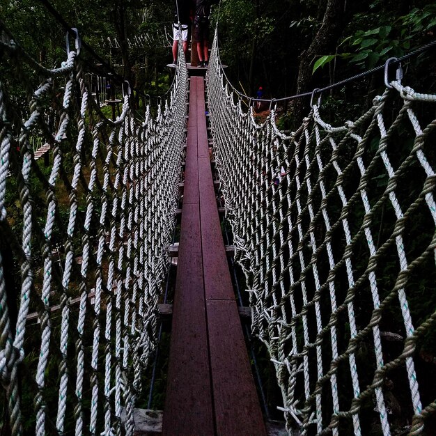 Foto ponte pedonale vuoto nella foresta