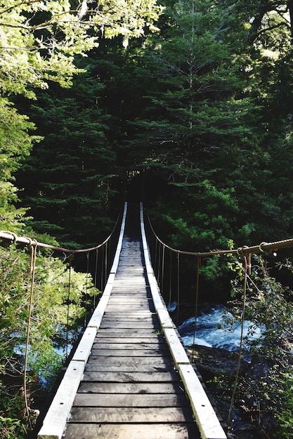 Photo empty footbridge at forest