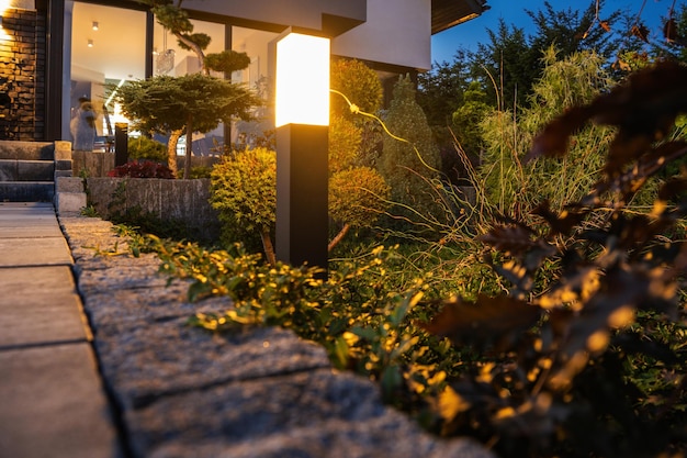 写真 植物の中の空の歩道