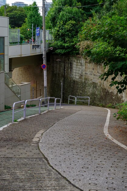 Foto un sentiero vuoto lungo la strada