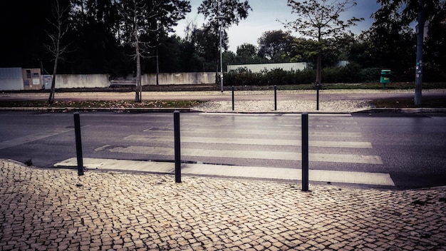 写真 公園の空の歩道