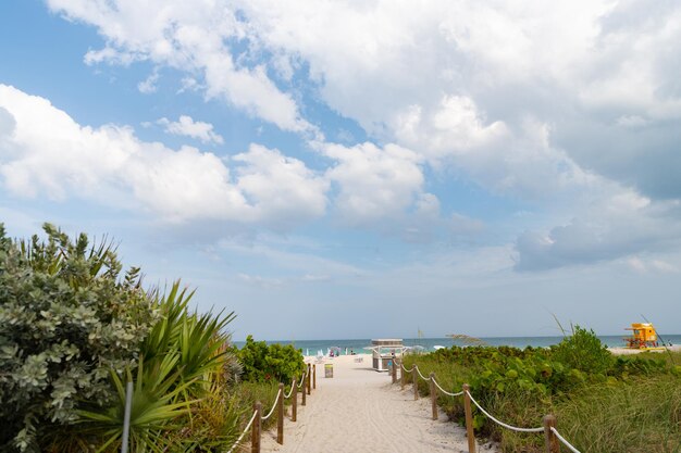 Empty footway road leading to summer beach