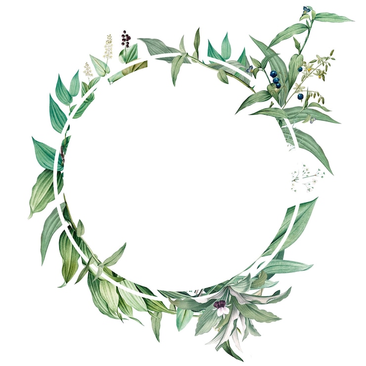 Photo empty frame with green leaves design element