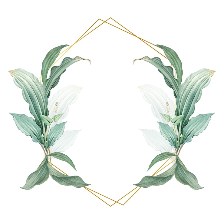 Photo empty frame with green leaves design element