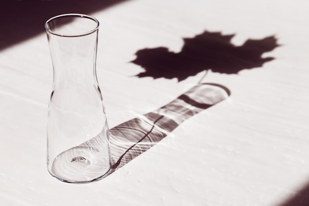 Empty glass vase with shadow from a leaf