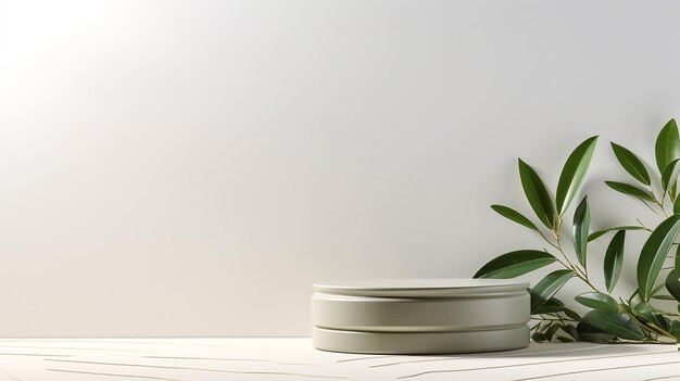 пустой глянцевый подиум оливково-зеленого цвета с зелеными листьями и белым мраморным столом