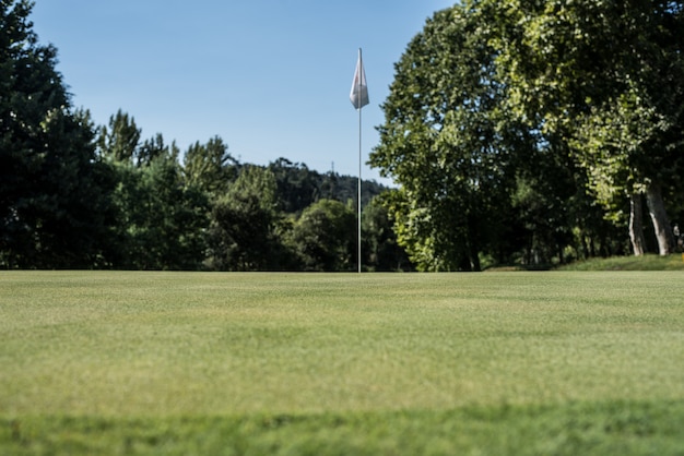 Empty golf field meadow