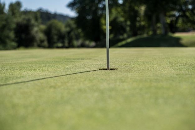 Empty golf field meadow