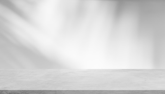 Empty gray cement floor room interiors studio concrete backdrop and shadow leaves