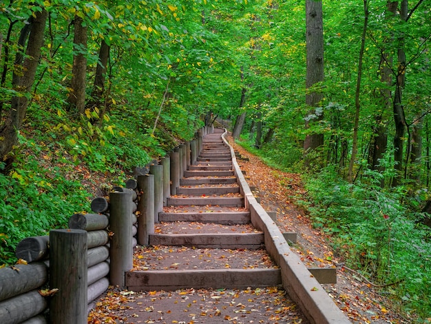 Photo empty green ecological path in autumn, bottom-up view. moscow, vorobyovy gory.