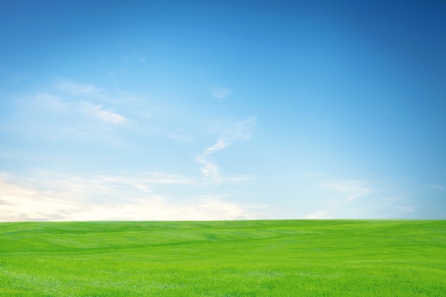 An empty green grass field with blue sky and white clouds