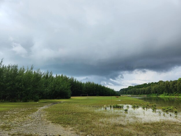 Foto parco verde vuoto in tempo nuvoloso vista panoramica dell'estate