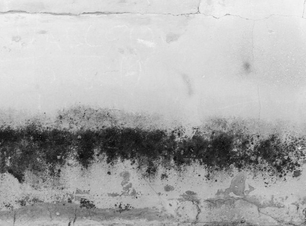 Empty grunge wall or texture to be used as a background and copy space