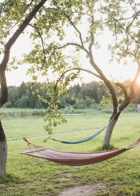 Empty hammock hanging between trees in garden 