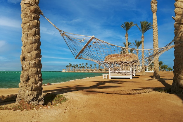 Empty hammock between palm trees on tropical beach