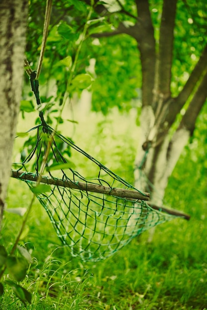 Empty hammock strung between two trees