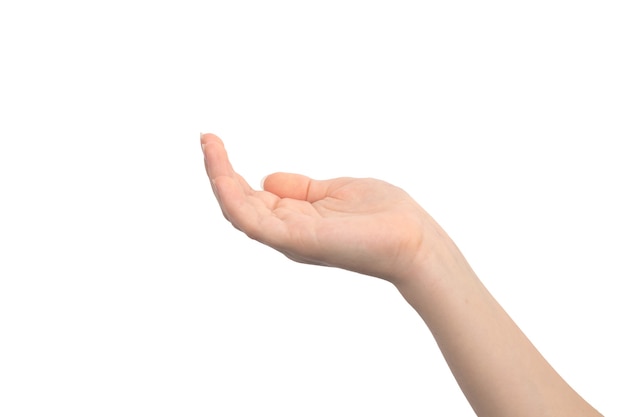 Empty hand palm up gesture, isolated on a white background, young female hand close-up