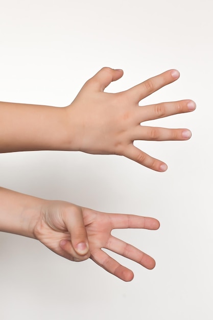 Empty hands showing gesture holding burger sandwich or some food isolated on white background