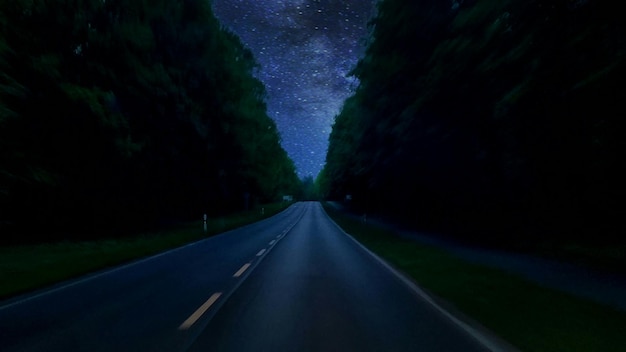 写真 夜木の中の空の高速道路