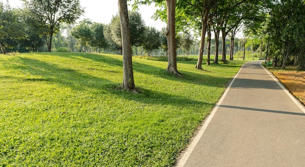 Photo empty highway asphalt road in landscape green park