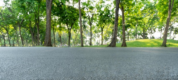 Пустая дорога асфальта шоссе в ландшафтном зеленом парке
