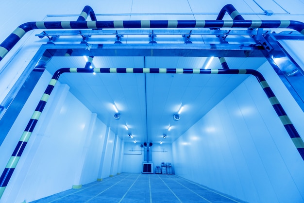 Empty industrial freezer warehouse for vegetable storage.