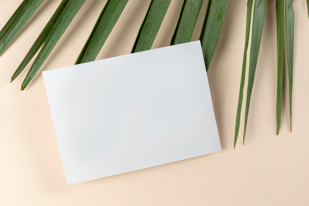 Empty invitation mock up on beige with palm tree leaf horizontal blank greeting card flat lay