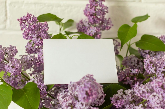 An empty layout of an invitation card or greeting card on a background of lilac flowers