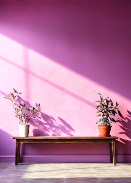 Empty lilac room wall with sunlight and beautiful