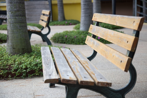 Empty long wood bench in a park