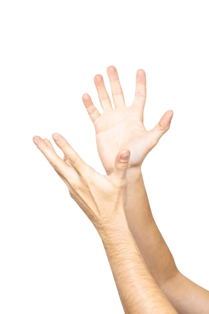 Empty male hands holding palms up isolated