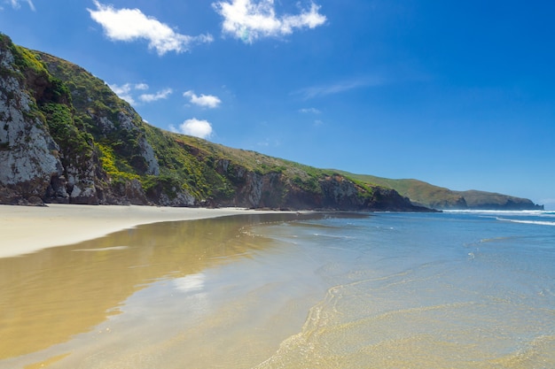 Foto spiaggia vuota dell'oceano con le onde in otago, nuova zelanda