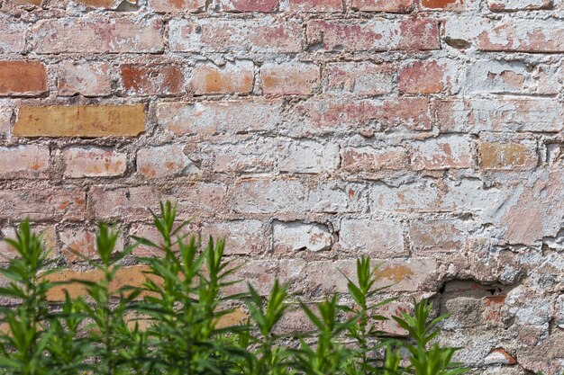 Empty old brick wall texture. Painted grungy wall surface.  Grunge red stonewall background. Shabby building facade with damaged plaster.